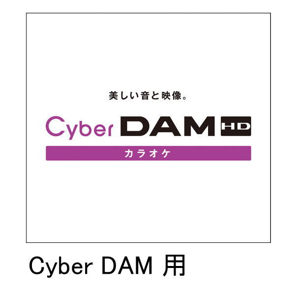 dŔpʔ / DSB-470p(Cyber DAM)